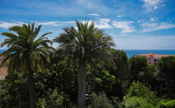 Hébergement de vacances Persienne Cannes